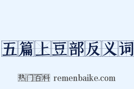 五篇上豆部反义词是什么意思的图片